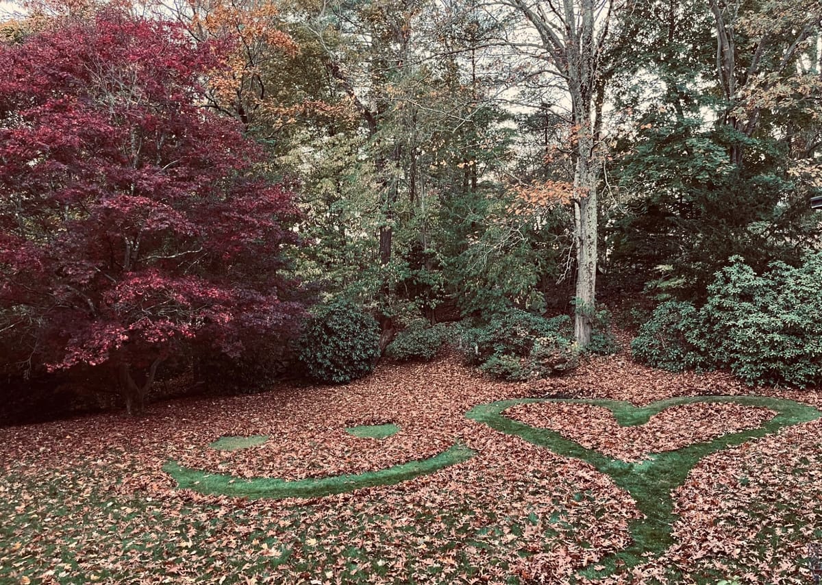fallen leaves cover a grass yard. leaves have been removed to form a smiling face and heart