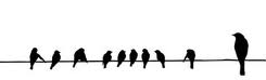 silhouette of 10 crows on a wire, the crow on the far right is larger than the other crows